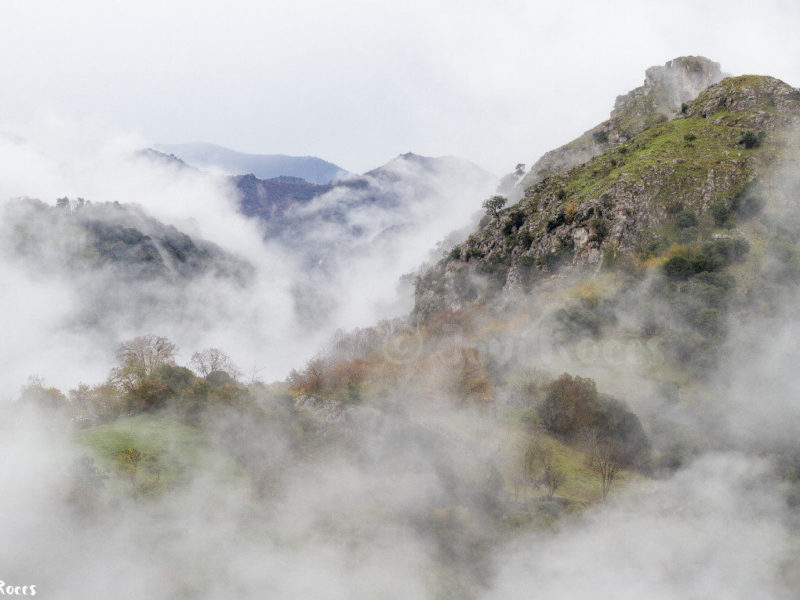 Asturias en la niebla