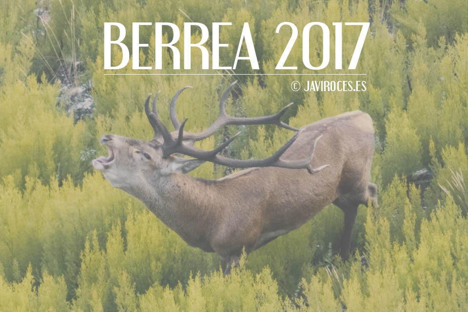 Berrea 2017